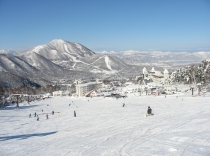 スキー場写真（MT0000191）