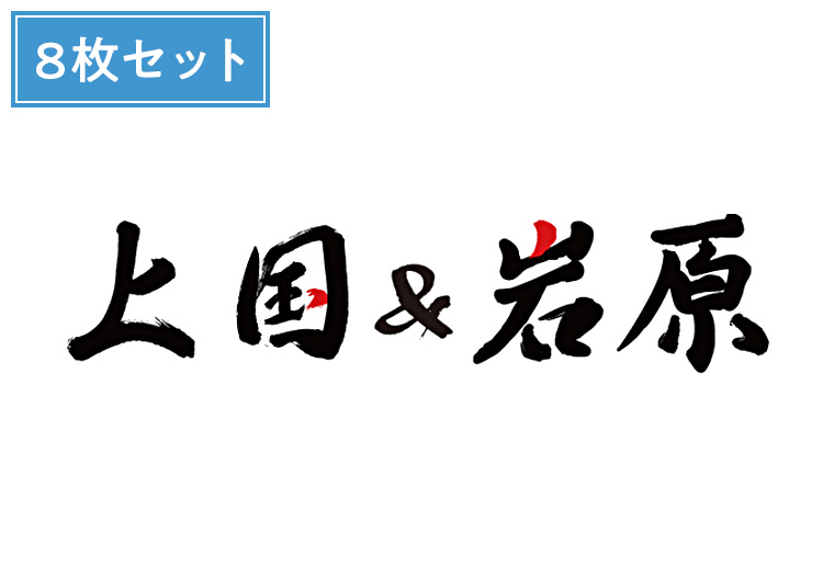 ⑧≪早割≫1日入場券+8枚セット【大人】上国&岩原【紙引換券】1日券 複数枚(綴り) 【特定期間】 中学生以上 ※11-12月限定販売