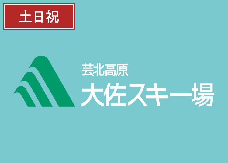 《土日祝》【大人】大佐スキー場【紙引換券】1日券 【特定期間】 高校生以上
