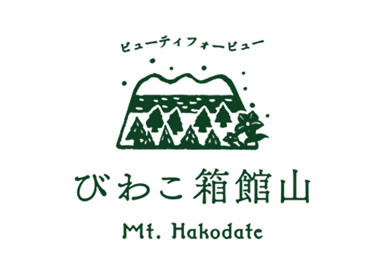 《関西6》【大人】びわこ箱館山スキー場★【紙引換券】1日券 【全営業日】 全年齢