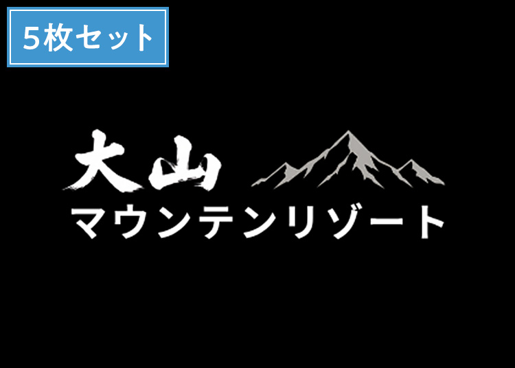 A⑤【大人】大山マウンテンリゾート※2シーズン有効！【紙引換券】1日券 複数枚（綴り） 【全営業日】 中学生以上 ×5枚セット