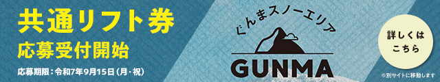 ぐんまスノーエリア共通リフト券