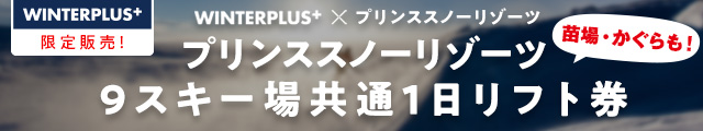 WINTER PLUS限定販売！ プリンススノーリゾート9スキー場共通1日リフト券