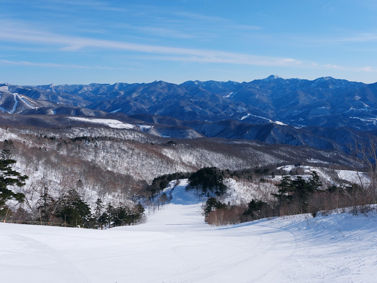 スキー場画像