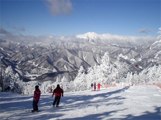 信州松本 野麦峠スキー場の画像