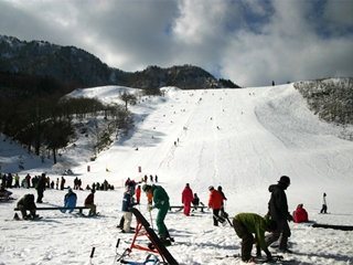 氷ノ山国際スキー場の画像